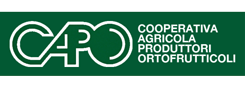 Cooperativa Capo Conche – Agricola produttori ortofrutticoli
